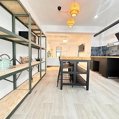 Alberola Industrial Style Apartment
